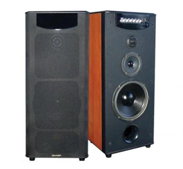 harga speaker bluetooth karaoke
