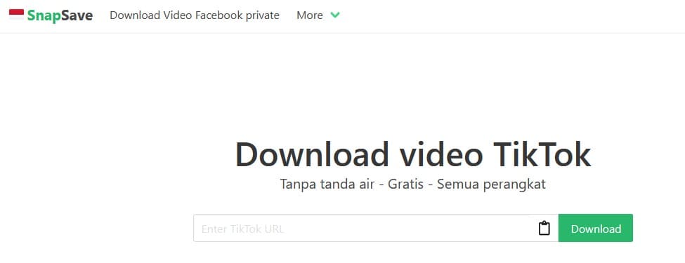 download video tiktok tanpa logo